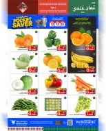 الانتقال إلى الصفحة 24 من 24