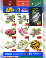 الانتقال إلى الصفحة 23 من 24