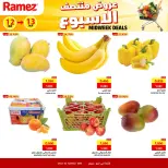 الانتقال إلى الصفحة 7 من 8