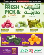 الانتقال إلى الصفحة 1 من 2