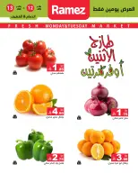 الانتقال إلى الصفحة 2 من 11