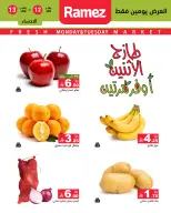 الانتقال إلى الصفحة 4 من 11