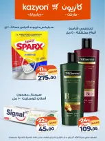 الانتقال إلى الصفحة 16 من 17