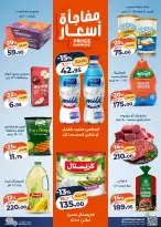 الانتقال إلى الصفحة 2 من 17