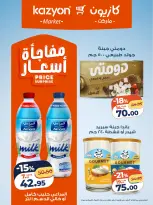 الانتقال إلى الصفحة 8 من 17