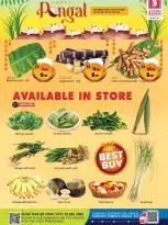 الانتقال إلى الصفحة 1 من 4