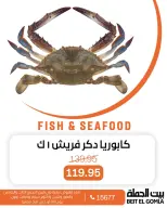 الانتقال إلى الصفحة 3 من 17