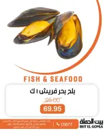 الانتقال إلى الصفحة 15 من 17