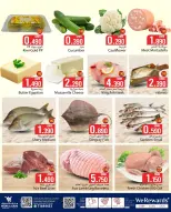 الانتقال إلى الصفحة 2 من 2