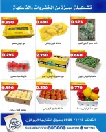 الانتقال إلى الصفحة 3 من 5