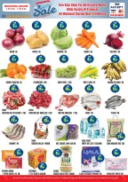 عروض الف المدينة الإمارات من 13 حتى 15 يناير 2026 عروض الشتاء