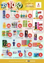 الانتقال إلى الصفحة 17 من 36