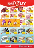 الانتقال إلى الصفحة 3 من 36