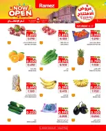 الانتقال إلى الصفحة 9 من 10