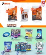 الانتقال إلى الصفحة 12 من 17