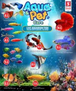 الانتقال إلى الصفحة 2 من 17