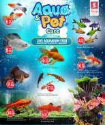 الانتقال إلى الصفحة 3 من 17