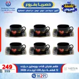 Offres Centre Shaheen Egypte de 15 à 21 janvier 2026 Tempête d'offres