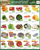 الانتقال إلى الصفحة 17 من 17