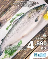 الانتقال إلى الصفحة 2 من 5