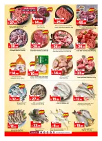 الانتقال إلى الصفحة 31 من 32