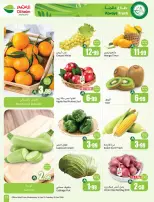 الانتقال إلى الصفحة 13 من 48