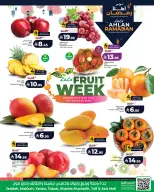 الانتقال إلى الصفحة 5 من 7