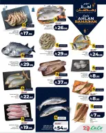 الانتقال إلى الصفحة 2 من 10