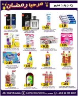 الانتقال إلى الصفحة 19 من 32