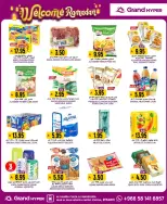 الانتقال إلى الصفحة 29 من 32