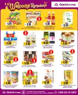 الانتقال إلى الصفحة 22 من 32