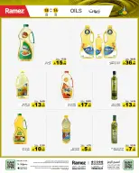 الانتقال إلى الصفحة 4 من 71