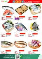 الانتقال إلى الصفحة 15 من 67