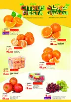 الانتقال إلى الصفحة 17 من 67