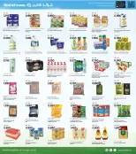 الانتقال إلى الصفحة 3 من 10