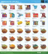 الانتقال إلى الصفحة 6 من 8