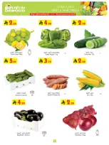 الانتقال إلى الصفحة 2 من 26