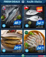 SPAR Qatar Offers from 14 to 18 January 2026 Fresh Deals