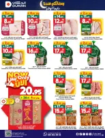 الانتقال إلى الصفحة 27 من 35