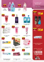 الانتقال إلى الصفحة 38 من 48