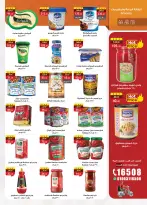 الانتقال إلى الصفحة 27 من 48