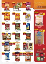 الانتقال إلى الصفحة 32 من 48