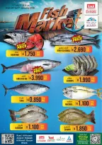 الانتقال إلى الصفحة 2 من 5