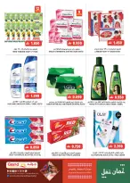 الانتقال إلى الصفحة 6 من 19