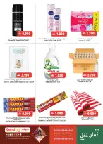 الانتقال إلى الصفحة 7 من 19