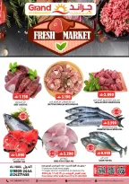 الانتقال إلى الصفحة 1 من 1