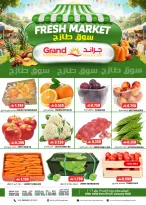 الانتقال إلى الصفحة 1 من 1