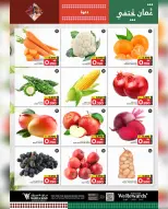 الانتقال إلى الصفحة 24 من 24