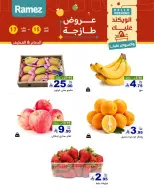 الانتقال إلى الصفحة 2 من 18