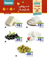 الانتقال إلى الصفحة 12 من 18